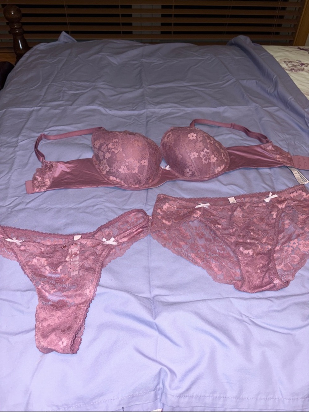 Victoria's Secret Body By Victoria Dusty Rose Lace Bra and Matching Panties Set